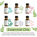 14 Pack Aromatherapy Essential Oil Gift Set Pure Therapeutic Grade Oils For Relaxation Wellness And Holistic Wellbeing